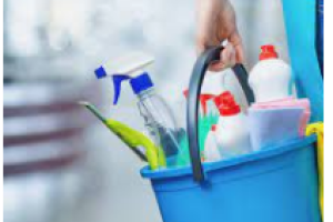 Dom�sticas Sin datos  domestica